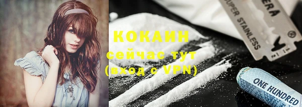стаф Балахна