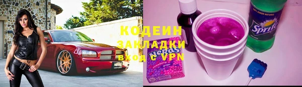 стаф Балахна